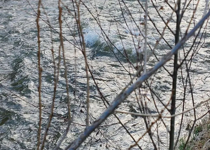 Antic Case de vacanță